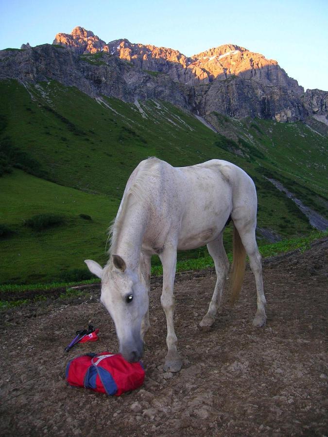Ferienwohnungen Kerber Bach  Exteriör bild